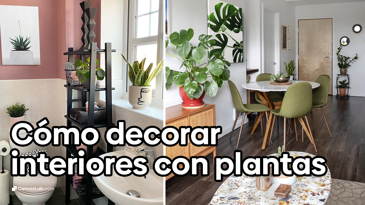 IDEAS para decorar tu BAÑO con PLANTAS