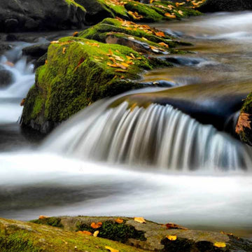 Naturaleza