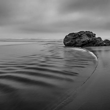 Blanco y Negro