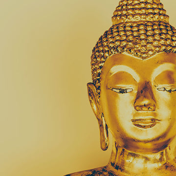 Yoga y Zen