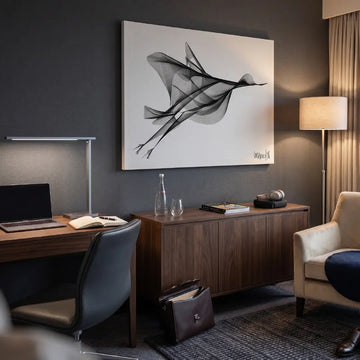 Hoteles y Airbnbs