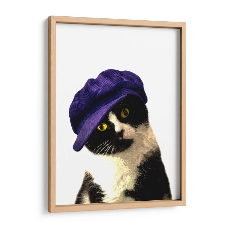 Gato con gorra azul - Alemi | Cuadro decorativo de Canvas Lab