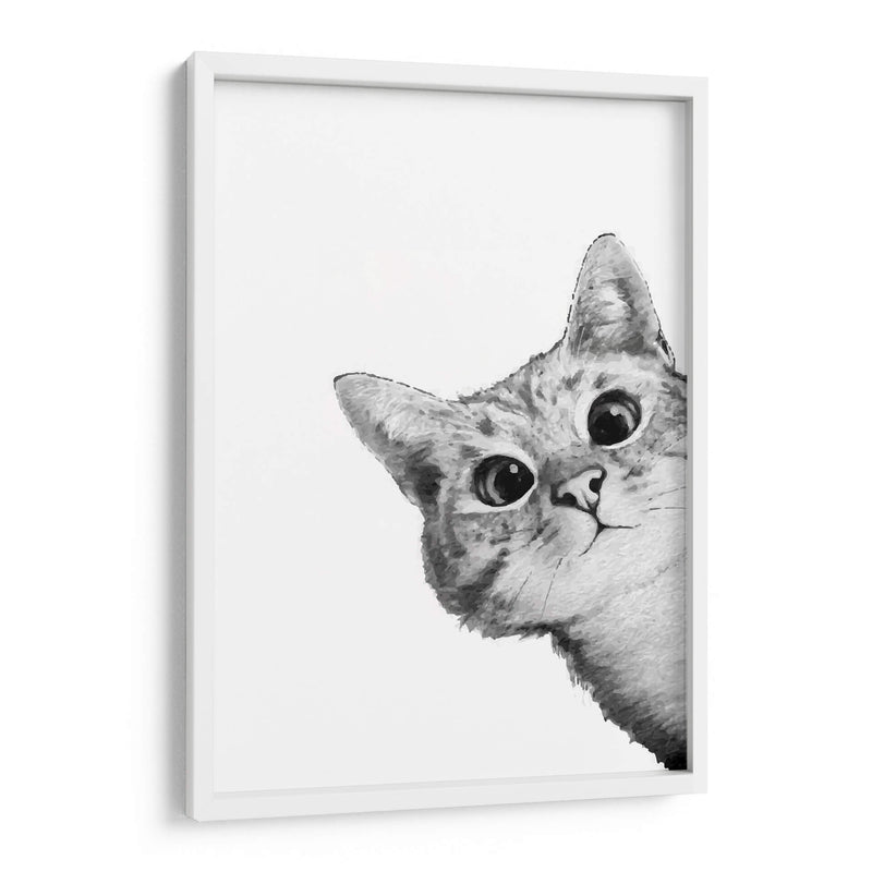 Curious Cat White | Cuadro decorativo de Canvas Lab