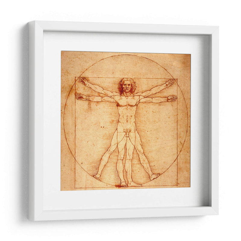 Hombre de Vitruvio - Leonardo da Vinci | Cuadro decorativo de Canvas Lab