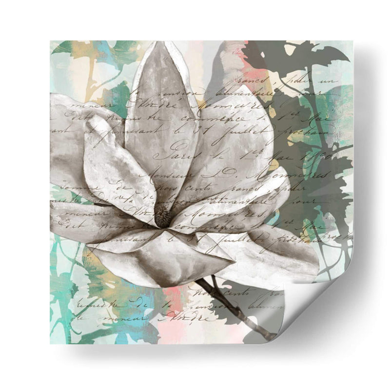 Magnolias Pastel Ii - Jennifer Goldberger | Cuadro decorativo de Canvas Lab