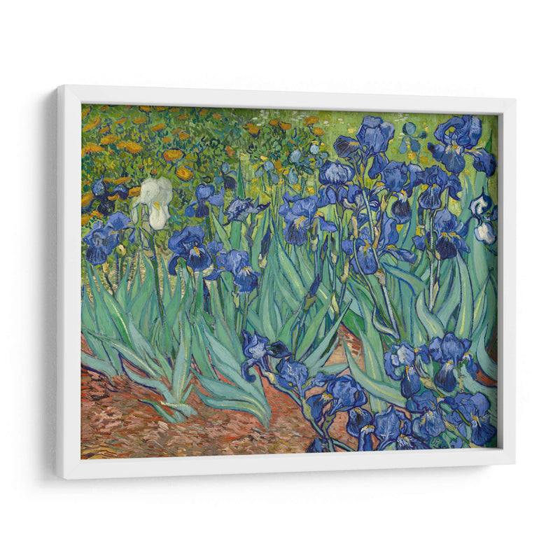 Lirios - Vincent Van Gogh | Cuadro decorativo de Canvas Lab