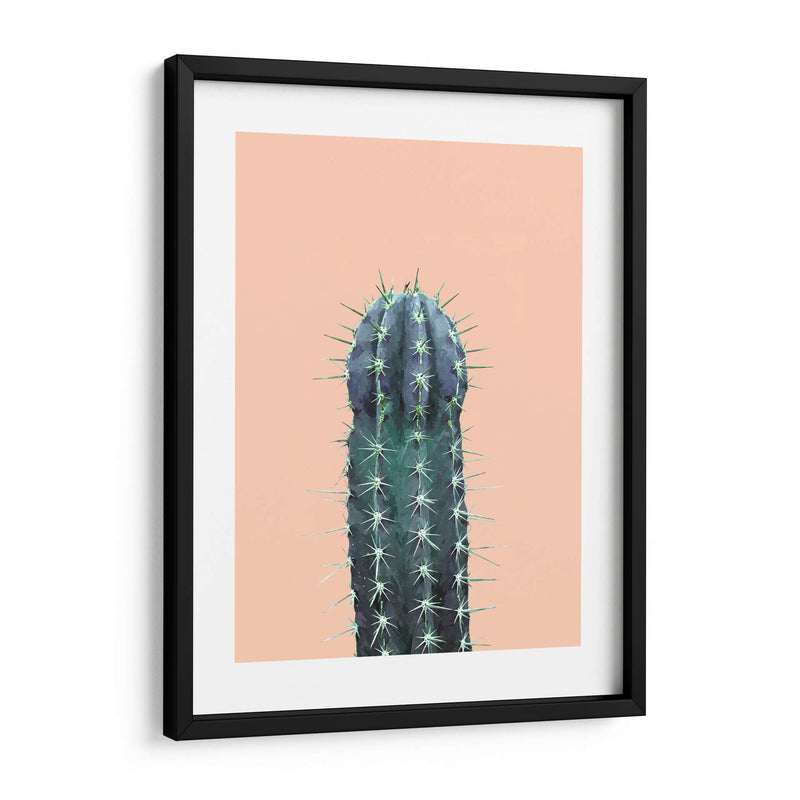 Cactus N1 - Alemi | Cuadro decorativo de Canvas Lab