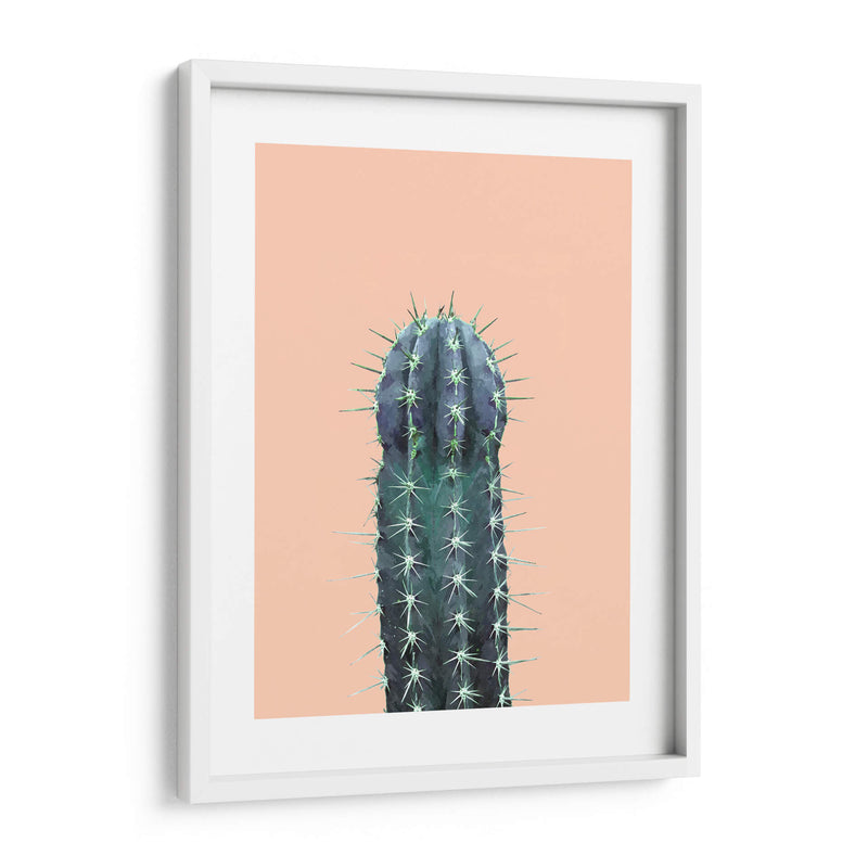 Cactus N1 - Alemi | Cuadro decorativo de Canvas Lab