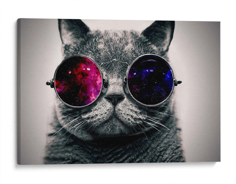 Gato galaxia | Cuadro decorativo de Canvas Lab