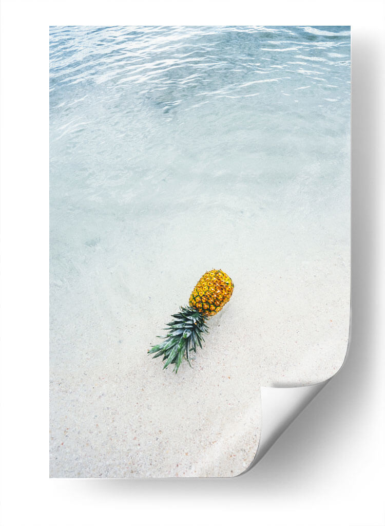 La piña que trajo el mar | Cuadro decorativo de Canvas Lab