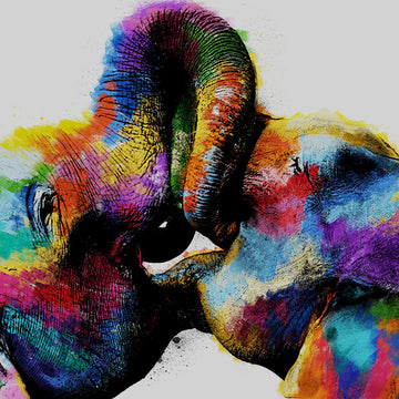 Animales Coloridos