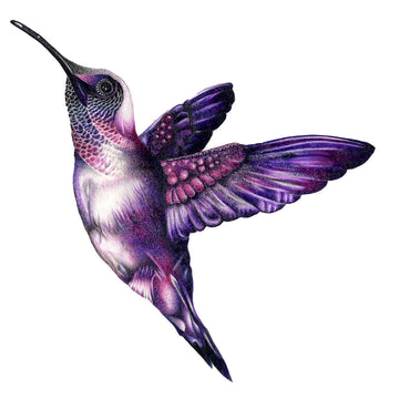 Colibríes