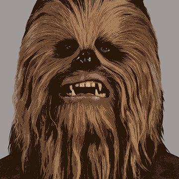 Ilustraciones de Star Wars