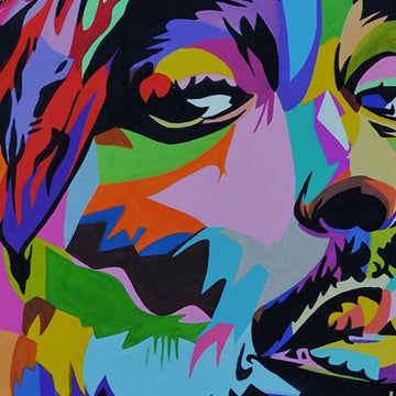 Ilustraciones Coloridas