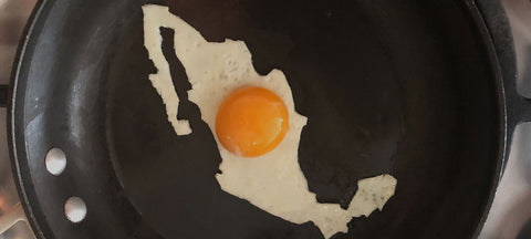 Eggshibit
