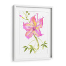 La Flor Del Hibisco IV - Nan Rae | Cuadro decorativo de Canvas Lab