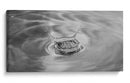 El momento de una gota | Cuadro decorativo de Canvas Lab