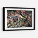 Paseo por los corales | Cuadro decorativo de Canvas Lab