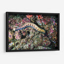 Paseo por los corales | Cuadro decorativo de Canvas Lab