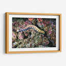 Paseo por los corales | Cuadro decorativo de Canvas Lab