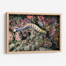 Paseo por los corales | Cuadro decorativo de Canvas Lab