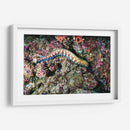 Paseo por los corales | Cuadro decorativo de Canvas Lab