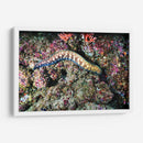 Paseo por los corales | Cuadro decorativo de Canvas Lab