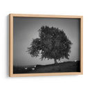 Luz De La Tarde Me - Martin Henson | Cuadro decorativo de Canvas Lab