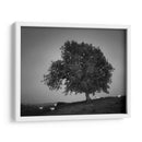 Luz De La Tarde Me - Martin Henson | Cuadro decorativo de Canvas Lab