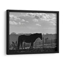 Luz De La Tarde III - Martin Henson | Cuadro decorativo de Canvas Lab