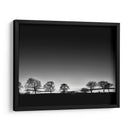 Línea De Árboles Luz - Martin Henson | Cuadro decorativo de Canvas Lab