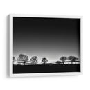 Línea De Árboles Luz - Martin Henson | Cuadro decorativo de Canvas Lab