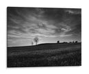 Negro Y Blanco Puesta Del Sol - Martin Henson | Cuadro decorativo de Canvas Lab