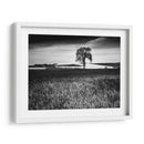 Campo Textura - Martin Henson | Cuadro decorativo de Canvas Lab