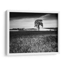 Campo Textura - Martin Henson | Cuadro decorativo de Canvas Lab