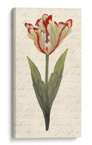 Doble Tulipanes I - Grace Popp | Cuadro decorativo de Canvas Lab