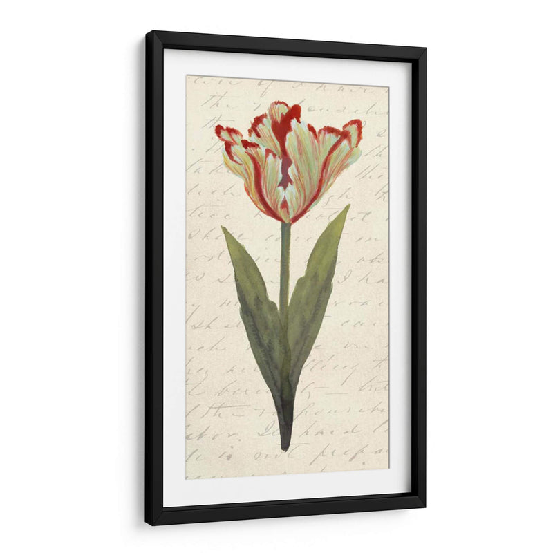 Doble Tulipanes I - Grace Popp | Cuadro decorativo de Canvas Lab