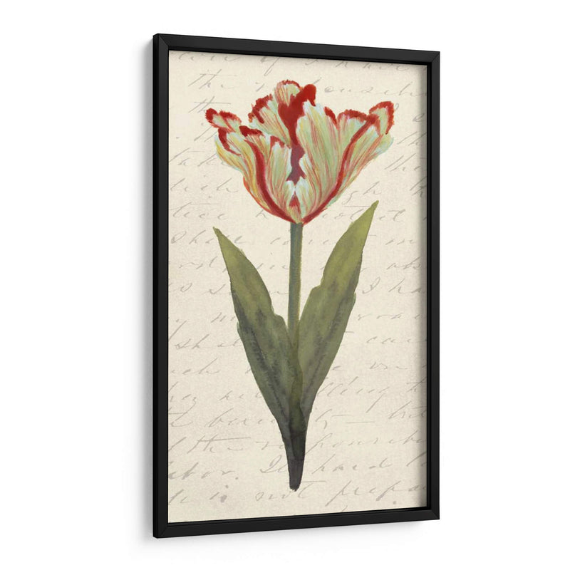 Doble Tulipanes I - Grace Popp | Cuadro decorativo de Canvas Lab