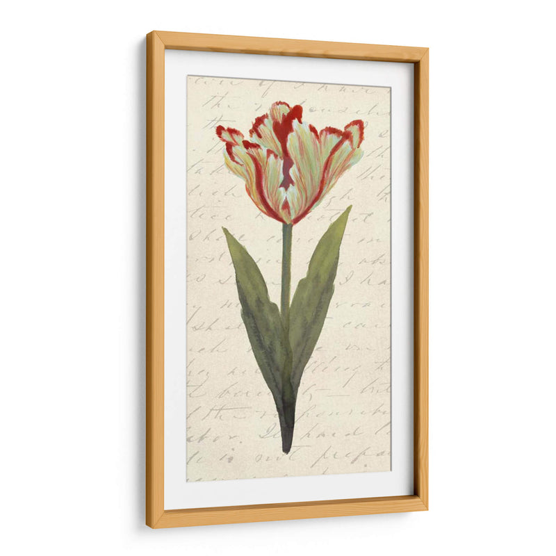 Doble Tulipanes I - Grace Popp | Cuadro decorativo de Canvas Lab