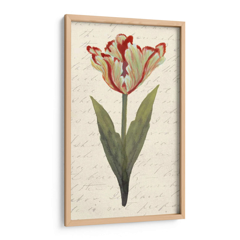 Doble Tulipanes I - Grace Popp | Cuadro decorativo de Canvas Lab