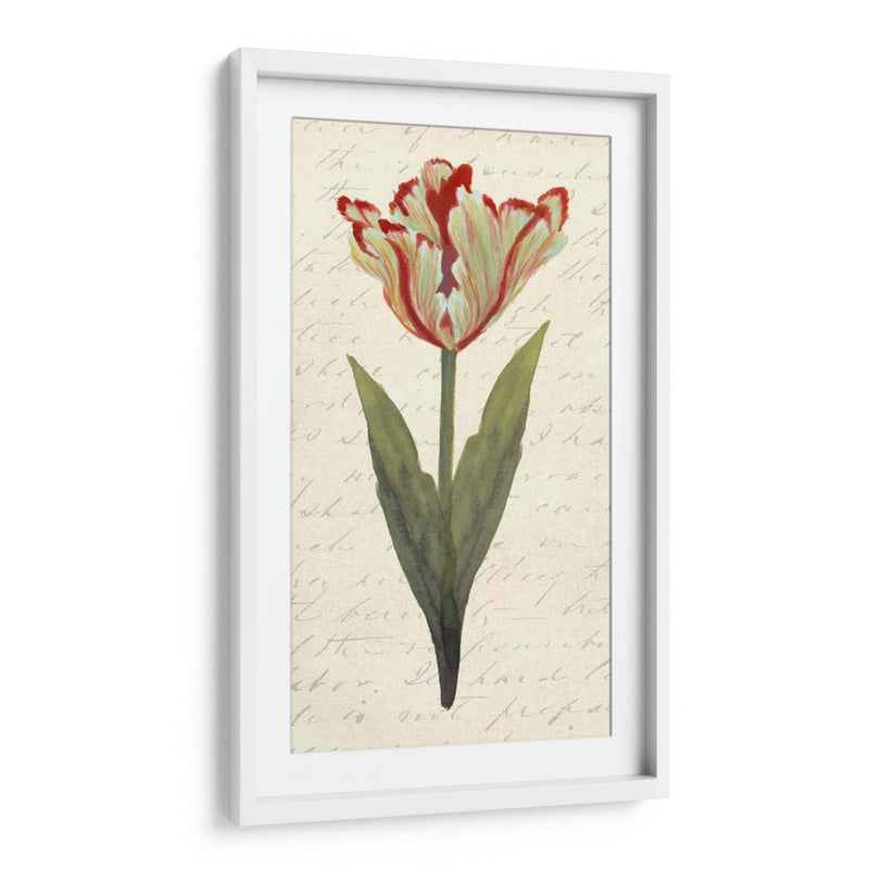 Doble Tulipanes I - Grace Popp | Cuadro decorativo de Canvas Lab