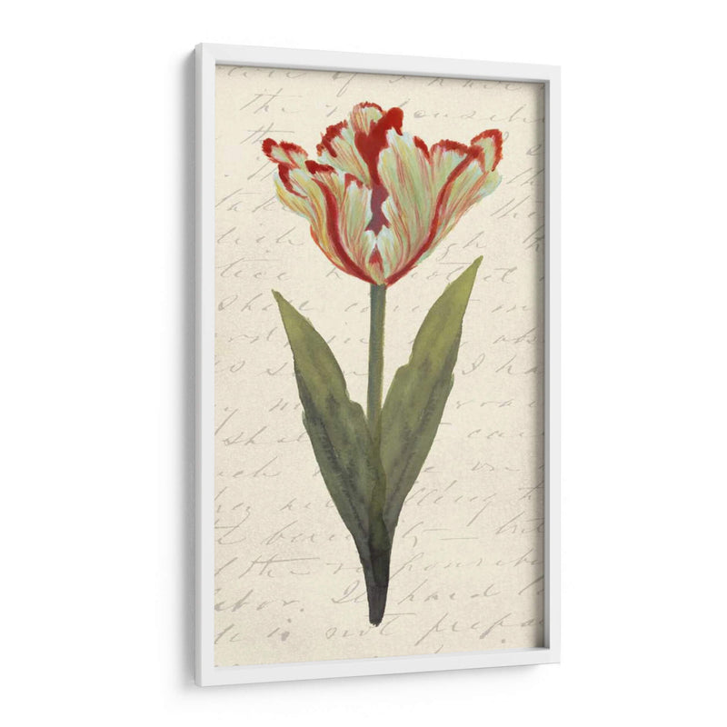 Doble Tulipanes I - Grace Popp | Cuadro decorativo de Canvas Lab