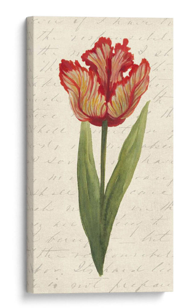 Doble Tulipanes II - Grace Popp | Cuadro decorativo de Canvas Lab