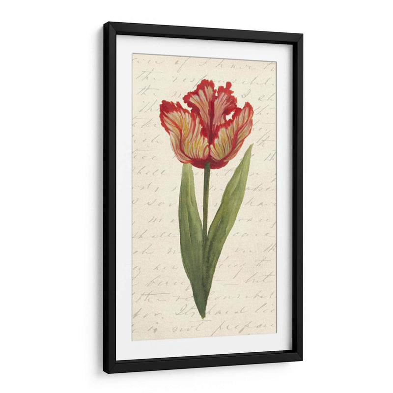 Doble Tulipanes II - Grace Popp | Cuadro decorativo de Canvas Lab