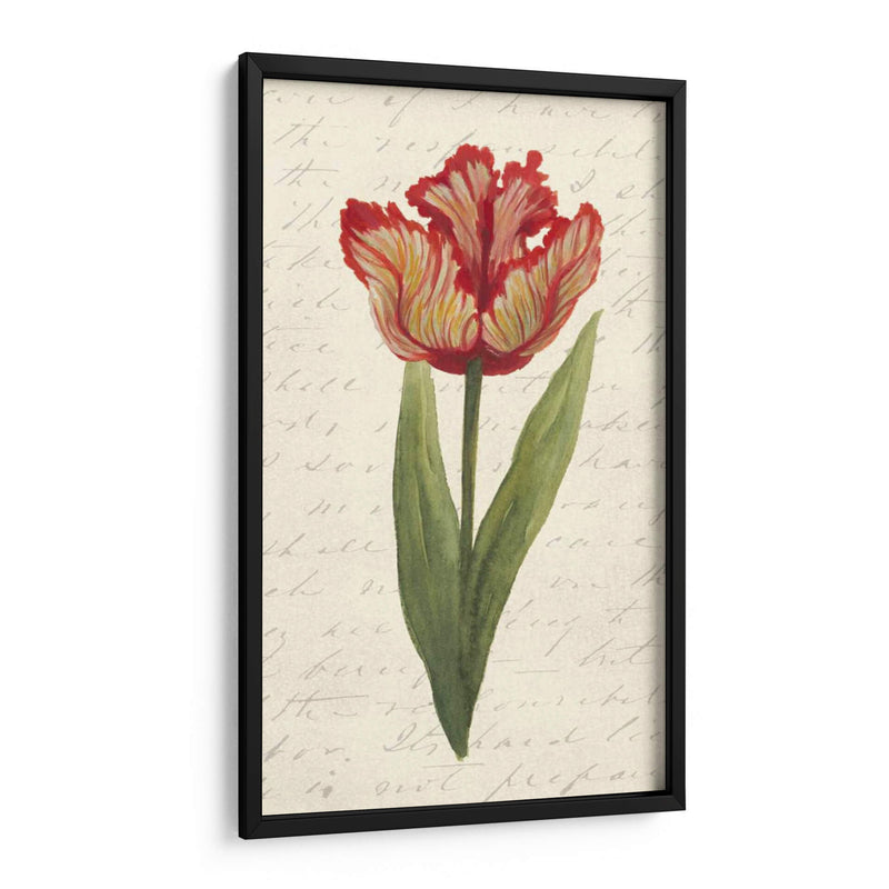 Doble Tulipanes II - Grace Popp | Cuadro decorativo de Canvas Lab