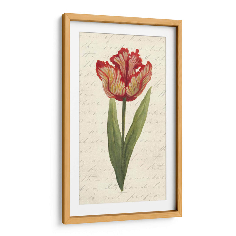 Doble Tulipanes II - Grace Popp | Cuadro decorativo de Canvas Lab