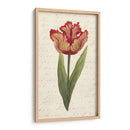 Doble Tulipanes II - Grace Popp | Cuadro decorativo de Canvas Lab
