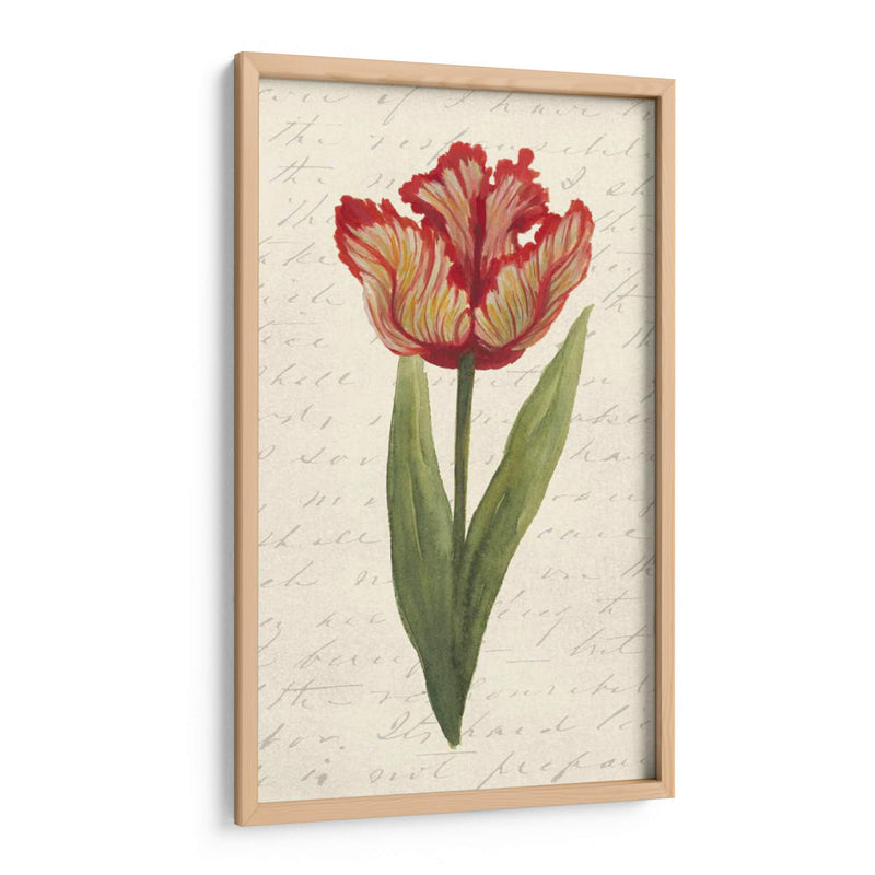 Doble Tulipanes II - Grace Popp | Cuadro decorativo de Canvas Lab