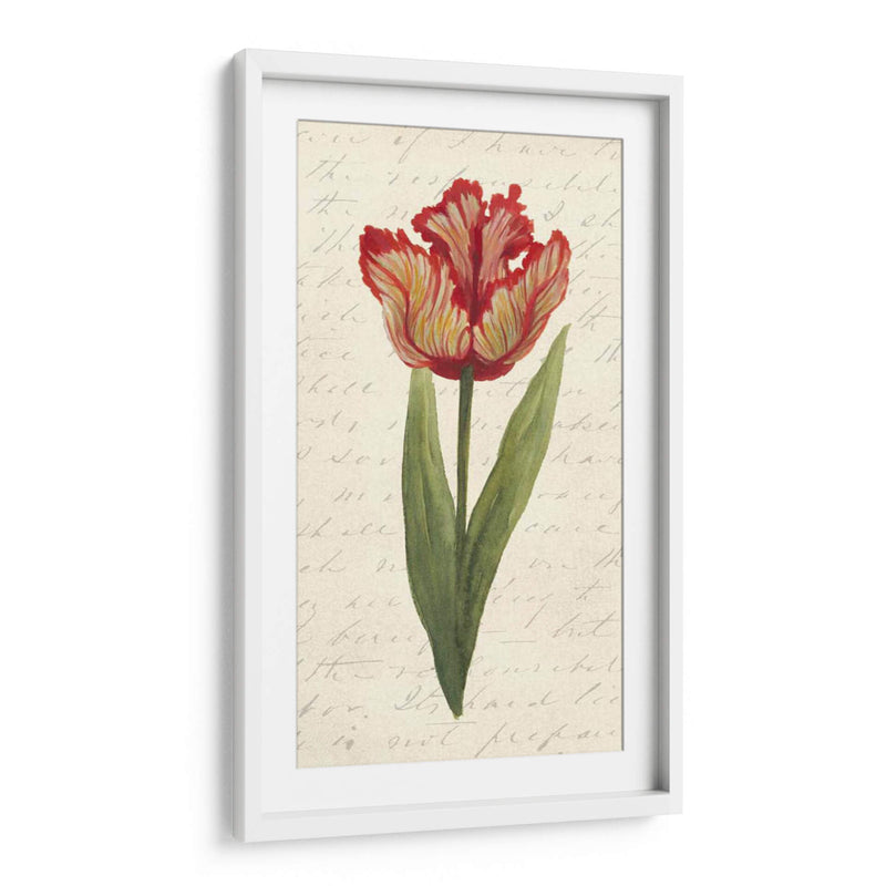 Doble Tulipanes II - Grace Popp | Cuadro decorativo de Canvas Lab