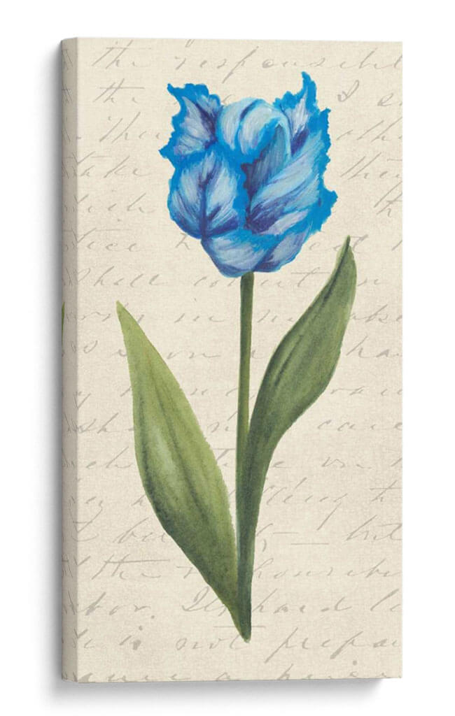 Doble Tulipanes IV - Grace Popp | Cuadro decorativo de Canvas Lab